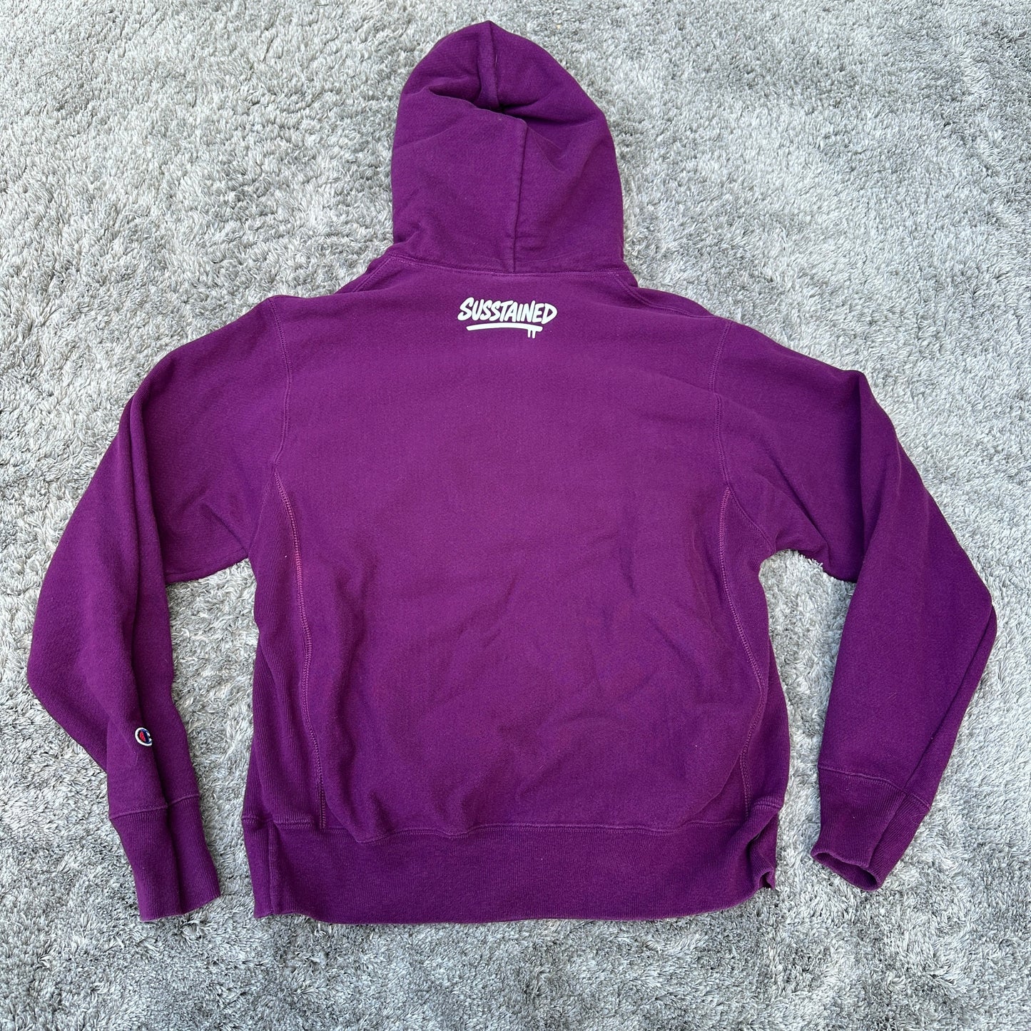 Medium Champion Reverse Weave Hoodie (Art Glows in the Dark)